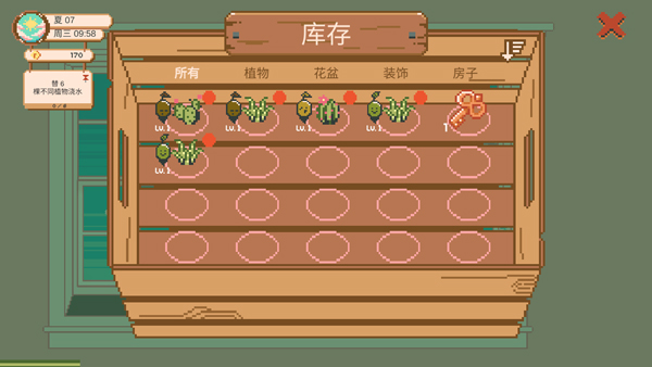 窗边花园选择植物