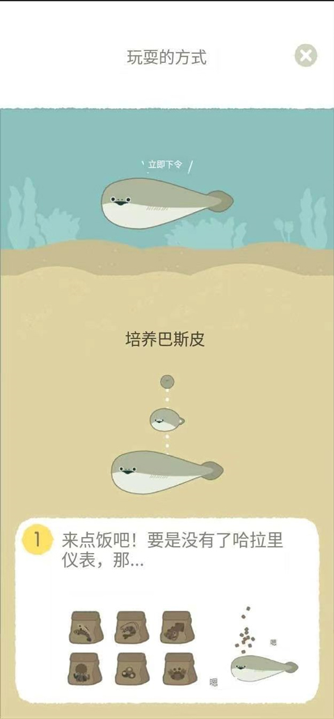 投喂鱼粮