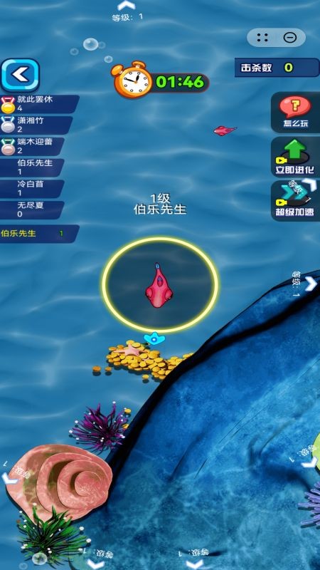 赶海日记