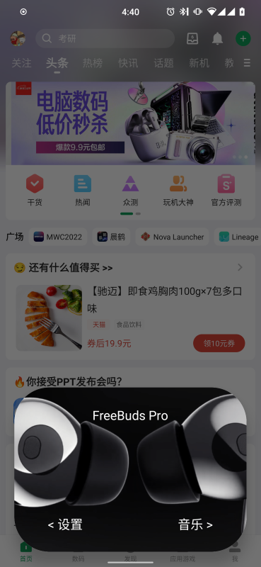 bearpopup