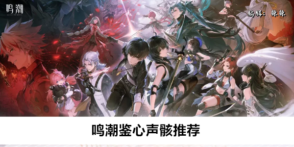 鸣潮鉴心声骸推荐