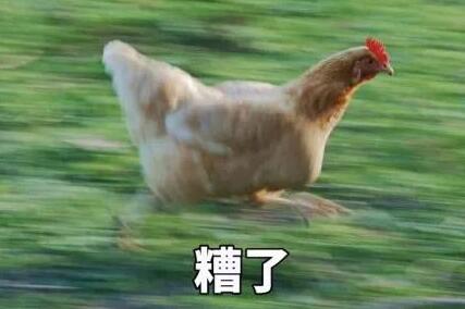 抖音横扫鸡饿坐回自己是什么梗