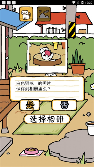 猫咪后院中文版 休闲