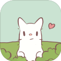 猫咪和汤官方正版