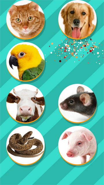PetTranslator