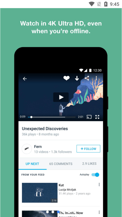 Vimeo