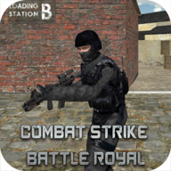 Combat Master