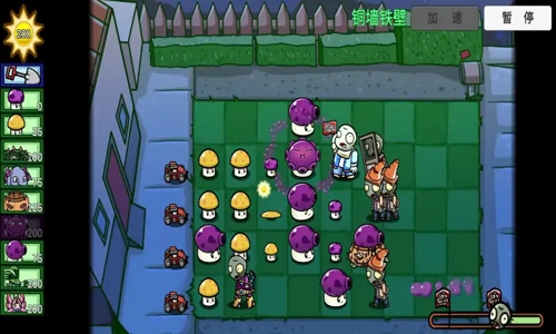 植物大战僵尸英雄国际服