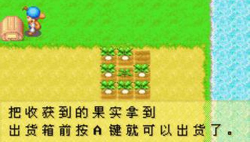 牧场物语矿石镇的伙伴们