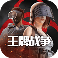 王牌战斗OPPO渠道服