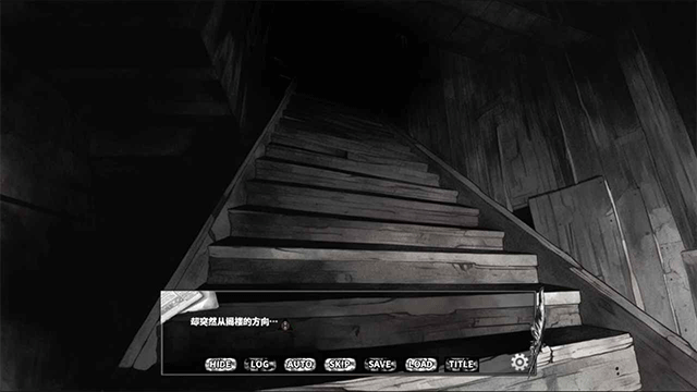 啮齿动物No44观察记录