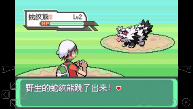 口袋妖怪究极绿宝石5.5