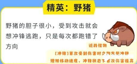 小鸡舰队出击攻略