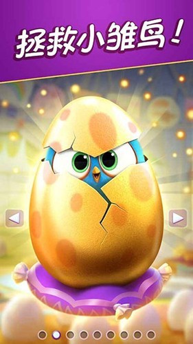 愤怒的小鸟进化