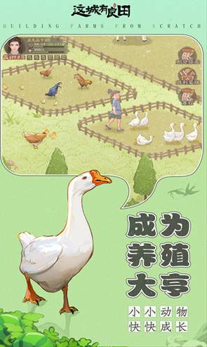 这城有良田折扣服