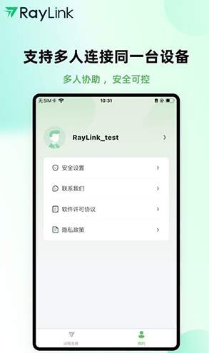 raylink远程软件