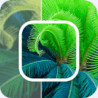 照片修复还原大师