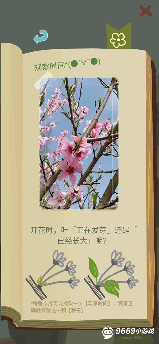老农种树