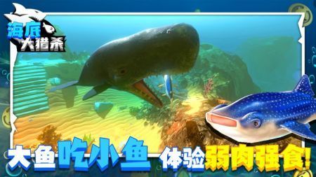 海底大猎杀主播同款
