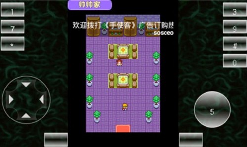 宠物王国天龙座改版