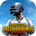 PubgNewState国际服