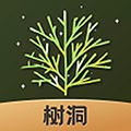 树洞吧软件