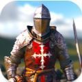 欧洲骑士4v1.00