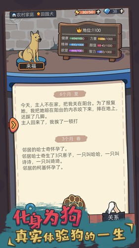 狗生模拟器无广版