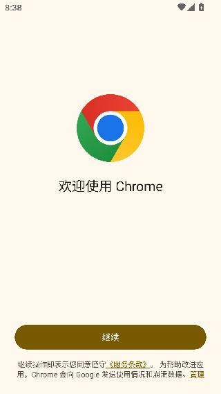 谷歌浏览器外贸版