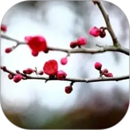 梅花易数笔记