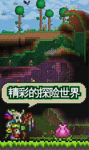 泰拉瑞亚1.4.4.9一只皮皮蛙汉化版