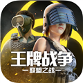 王牌战斗争百度版