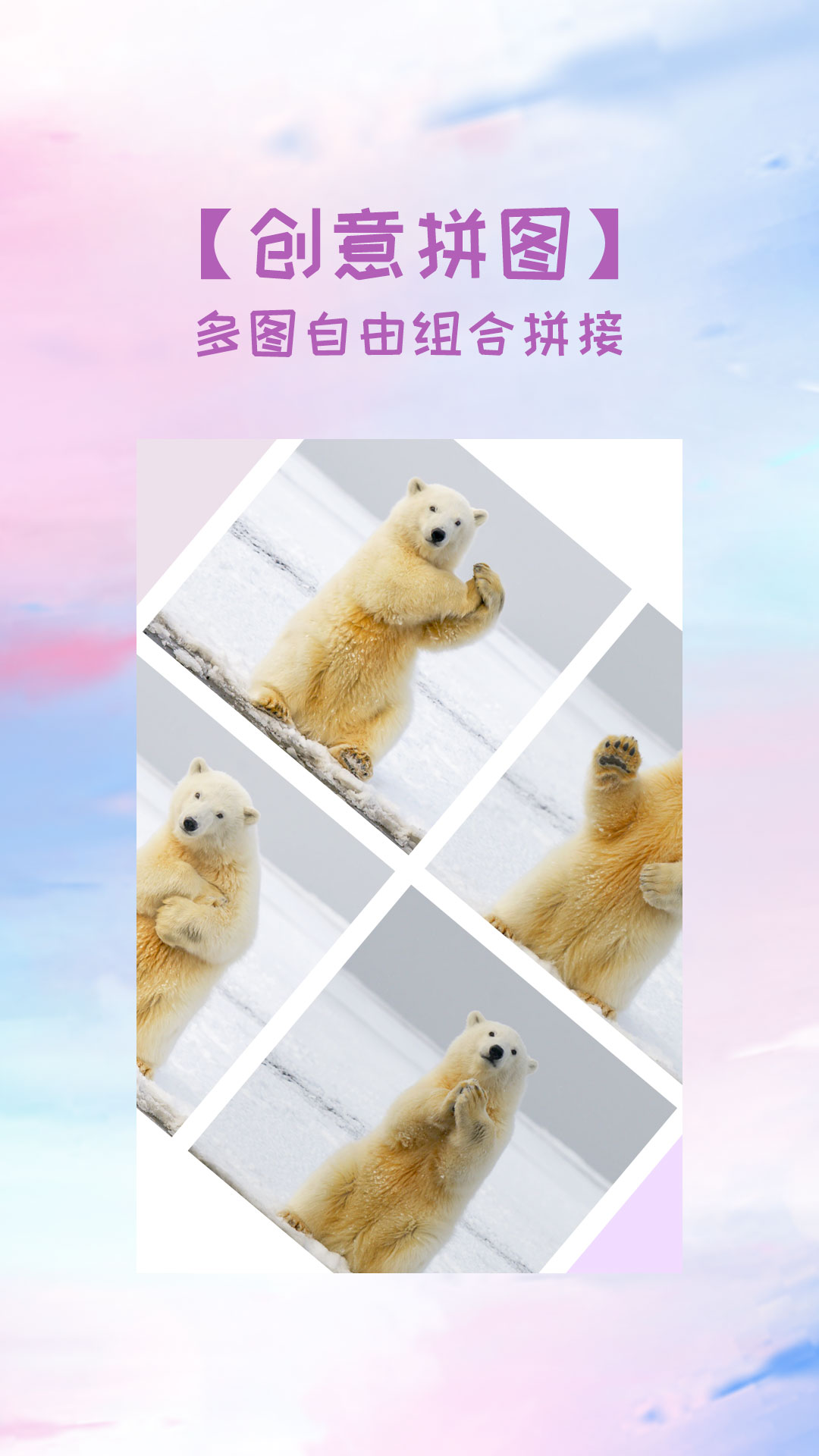 照片拼图切图app