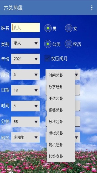 卜卜排盘