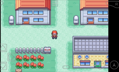 口袋妖怪火红汉化版