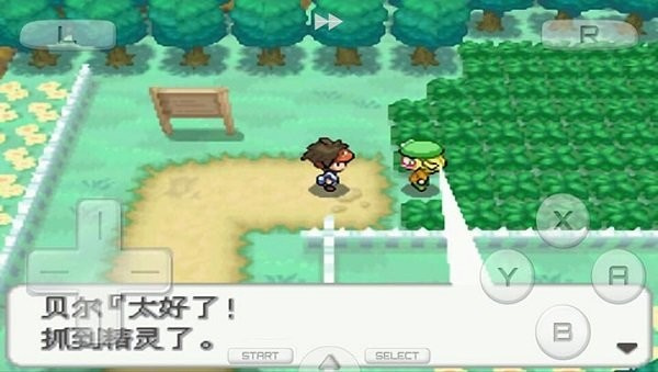 口袋妖怪火红全随机版本